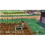 STORY OF SEASONS A WONDERFUL LIFE - XBOX ONE