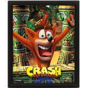 CRASH BANDICOOT CADRE 3D LENTICULAIRE MASK POWER UP