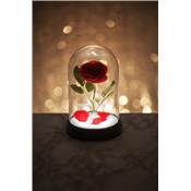 DISNEY LAMPE ROSE ENCHANTEE LA BELLE ET LA BETE