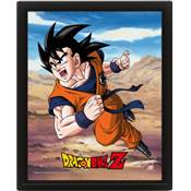 DRAGON BALL Z CADRE 3D LENTICULAIRE RIVALRY OF POWER