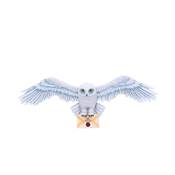 HARRY POTTER HEDWIG WALL PLAQUE 45CM