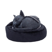 MALPUSS DREAMS