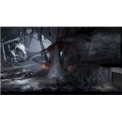 KONG SURVIVOR INSTINCT - SWITCH