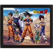 DRAGON BALL Z CADRE 3D LENTICULAIRE CHAMPIONS OF EARTH