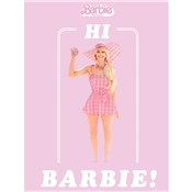 HI BARBIE FRAMED 34X40