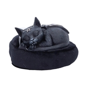 MALPUSS DREAMS