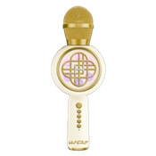 KPOP DM MICRO KARAOKE GOLD SANS FIL LED LOGO HUNTRIX