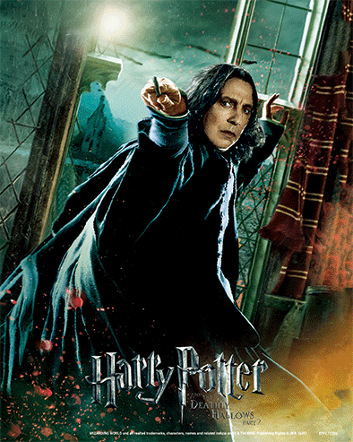 HARRY POTTER CADRE 3D LENTICULAIRE DEATHLY HALLOWS SNAPE