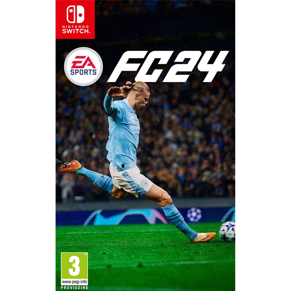EA SPORTS FC 2024 STANDARD SWITCH