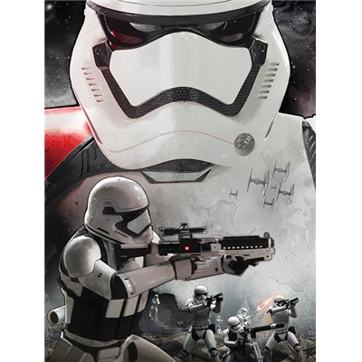 STAR WARS ÉPISODE VII (ART STORMTROOPER) 60X80