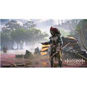 CONSOLE DIGITALE B + HORIZON FORBIDDEN - PS5