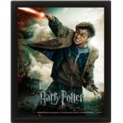 HARRY POTTER CADRE 3D LENTICULAIRE EXPELLIARMUS