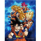 DRAGON BALL SUPER CADRE 3D LENTICULAIRE POWER OF SAIYANS