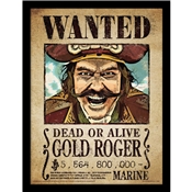 ONE PIECE GOLD ROGER WANTED CADRE 30X40