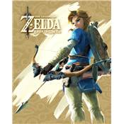 ZELDA BREATH OF WILD CADRE 3D LENTICULAIRE ADVENTURE