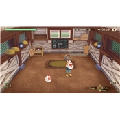 STORY OF SEASONS A WONDERFUL LIFE - XBOX ONE