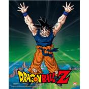 DRAGON BALL Z CADRE 3D LENTICULAIRE POWER LEVELS INCREASED