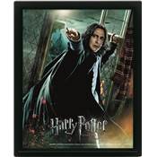 HARRY POTTER CADRE 3D LENTICULAIRE DEATHLY HALLOWS SNAPE