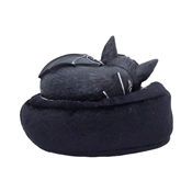 MALPUSS DREAMS