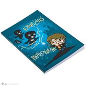 HARRY POTTER NOTEBOOKS EXPECTO PATRONUM